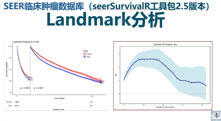landmark软件如何删除冗余数据?